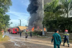 TPHCM tăng cường quản lý trật tự xây dựng, phòng cháy chữa cháy dịp tết