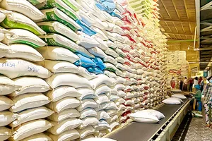 Nguồn cung lúa gạo tăng mạnh, nhu cầu nhập khẩu chững lại