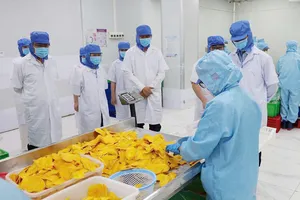 Nâng tầm thực phẩm Việt: Chuyển tư duy sản xuất sang chuỗi giá trị