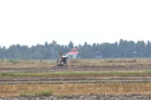Ghi nhận trong ngày 14-4, một số máy tiếp tục đào xới đất mặt ruộng