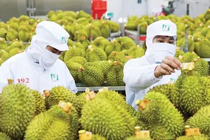 Cần đột phá để xuất khẩu nông, lâm, thủy sản đạt 100 tỷ USD