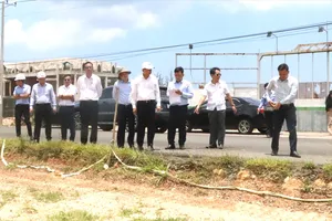 Thường trực HĐND TPHCM khảo sát tuyến đường ven biển