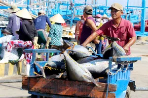 Mạnh về biển, phát triển bền vững từ biển - Bài 1: Nỗi niềm chưa giàu từ biển