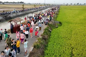 Ra đồng đi chợ