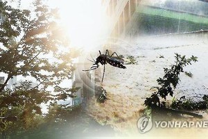 Nine in 10 malaria infections reported in inter-Korean border areas