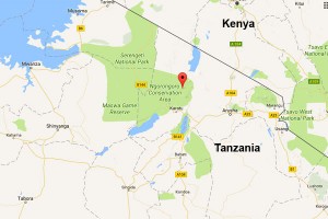 Eleven dead in Tanzania plane crash: aviation company 
