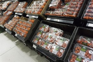 UK plans to eliminate avoidable plastic waste by 2042 