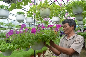 Craft villages prepare for Tet