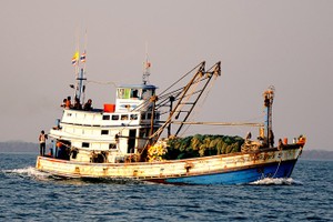 EU praises Thai efforts in fighting illegal fishing