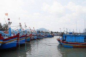 The province Quang Ninh to Binh Dinh should call on offshore vessels moving out of the dangerous zone Photo: SGGP