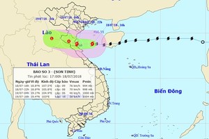 Storm Son Tinh to weaken into tropical low-pressure on July 19