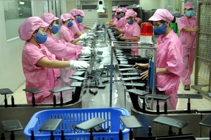 Korean enterprises seeks investment opportunities in HCMC