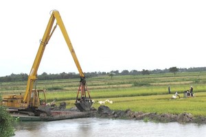Mekong farmers urged summer-autumn rice harvest