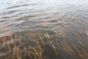 Kontum: 70 households moved to safer places