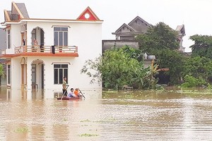 At Thieu Duong Commune in Thanh Hoa province -Photo: SGGP