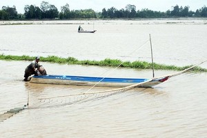 Mekong flooding rising quickly to warning level two