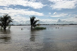 Mekong urged to deal with floods