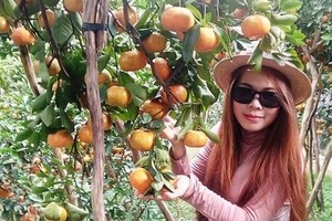 Agri-tourism products to lure more visitors