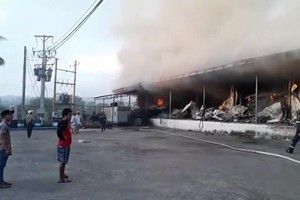 Fire destroys hundreds of tons of dragon fruit in Binh Thuan
