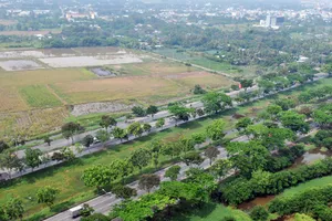 Một khu đất trống bên đường Nguyễn Văn Linh, TPHCM. Ảnh: THÀNH TRÍ