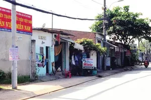 Phải thu hồi đất công đã cho thuê trái phép