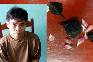 Đối tượng Hà Văn Nịnh và tang vật