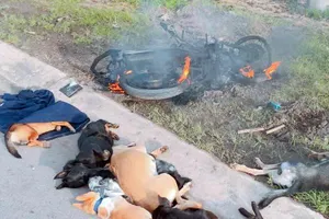 Một trong hai thanh niên trộm chó bị đánh bất tỉnh tại Biên Hòa phơi nhiễm HIV