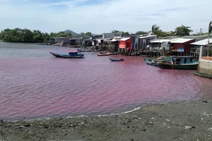 Xã Tân Hải từng bị xả thải khiến cá chết hàng loạt