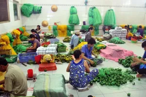 Khu vực doanh nghiệp tư nhân rất cần những cơ chế hỗ trợ đặc biệt để phát triển