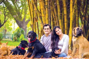 Nuôi chó giúp chống lại bệnh eczema 