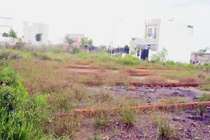 Một thửa đất thổ cư trên đường Lò Lu, quận 9. Ảnh: TRÀ GIANG