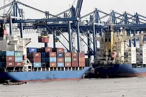 Bốc dỡ hàng tại Cảng Cát Lái