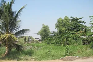 Còn nhiều vướng mắc trong quản lý đất nông nghiệp, lâm nghiệp