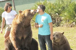 Hai mẹ con nuôi 14 con gấu 