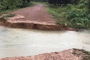 Kon Tum: Di dời hơn 70 hộ dân vùng có nguy cơ sạt lở đến nơi an toàn