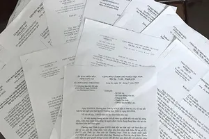 Vụ sắp xếp bộ máy ở Long An: 14 hội đặc thù sẽ ngừng hoạt động vào cuối 2018