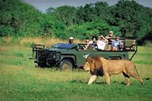 Nam Phi khuyến khích du khách quốc tế