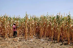 Dự án môi trường tại Vành đai khô hạn El Salvador