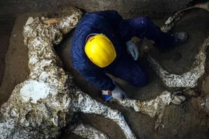 Khai quật xương ngựa gần 2.000 năm tuổi