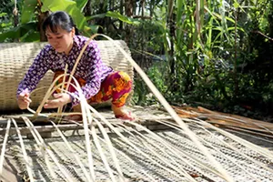 Người dân Long Trị (Long Mỹ, Hậu Giang) quyết giữ nghề đan mê bồ truyền thống. Ảnh: MỸ XUYÊN