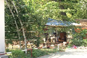 Khu nhà lụp xụp giữa công viên 