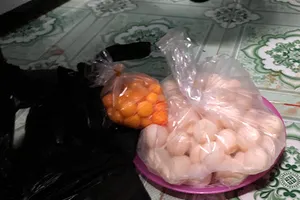 Phát hiện rùa biển bị xẻ thịt tại Côn Đảo