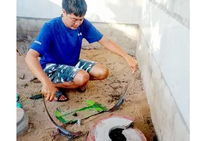 Con dông được người dân xã Thiện Nghiệp nuôi mang lại hiệu quả kinh tế cao