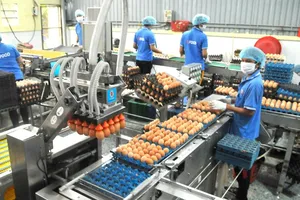 Sử dụng robot trong xử lý trứng, thực hiện sản xuất xanh tại doanh nghiệp ở TPHCM. Ảnh: CAO THĂNG