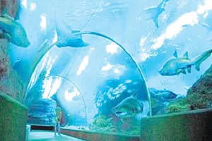 Công viên thủy cung cao nhất thế giới