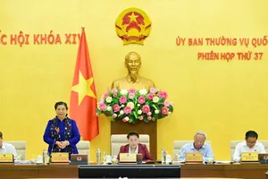 Phó Chủ tịch Thường trực Quốc hội Tòng Thị Phóng phát biểu tại phiên họp. Ảnh: VIẾT CHUNG