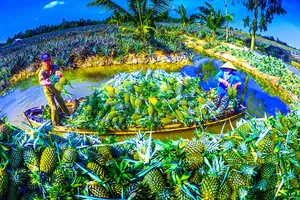 Xây dựng thương hiệu một Hậu Giang thân thiện