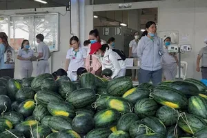 Kiến nghị Chính phủ xem xét, hỗ trợ về thuế cho doanh nghiệp