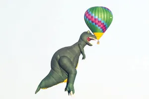 Lễ hội khinh khí cầu Canberra 