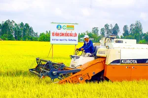 Mô hình cánh đồng mẫu lớn tại ĐBSCL tạo điều kiện thuận lợi để nông dân cơ giới hóa - mang lại nhiều hiệu quả. Ảnh: CAO PHONG